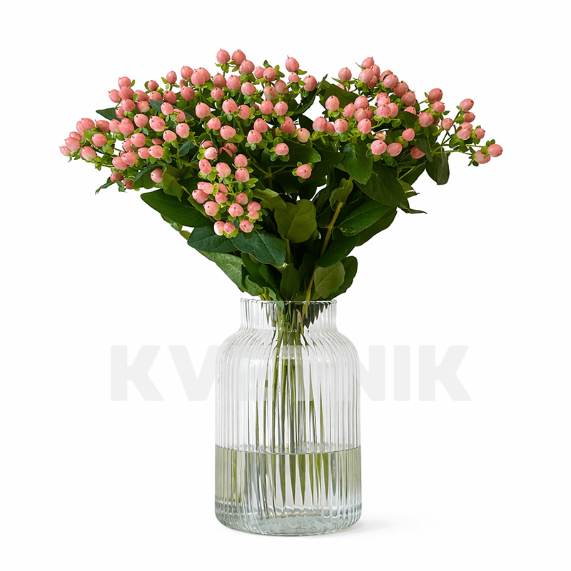 Różowy hypericum