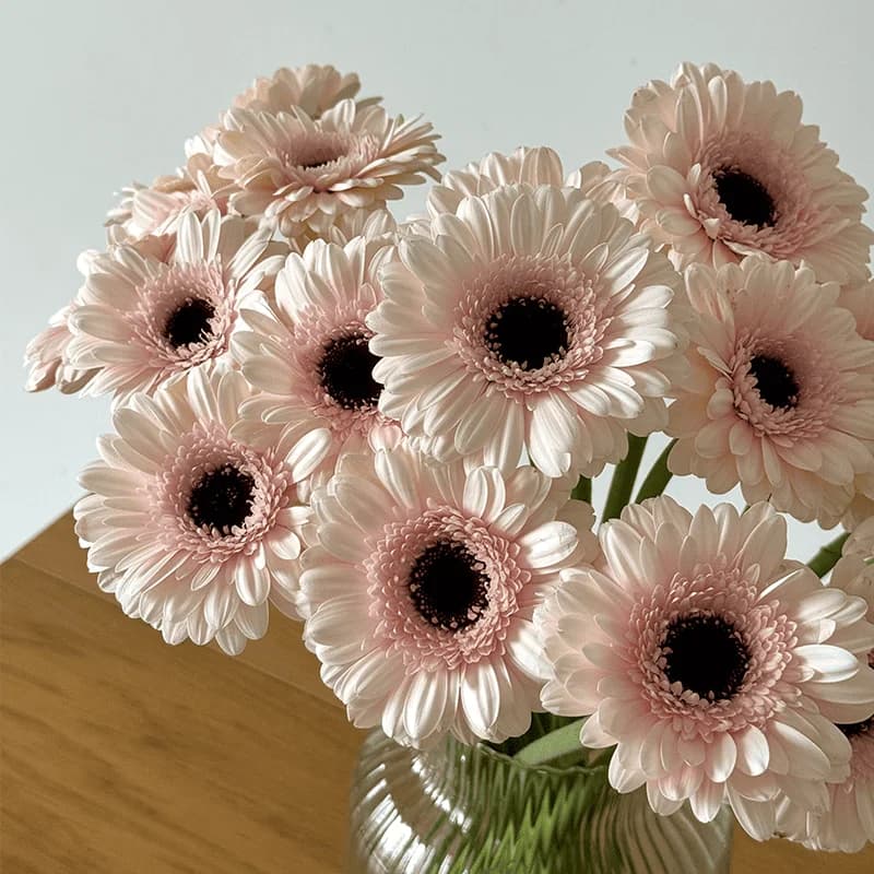 Gerbera delikatnie różowa - 2