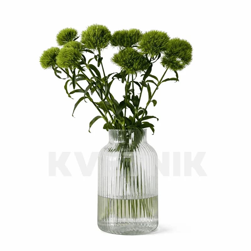Dekoracyjny zdianthus