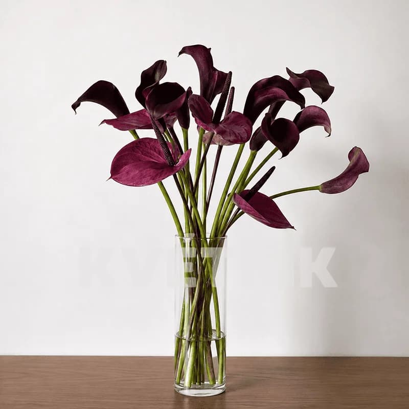 Zestaw "Deep Purple"