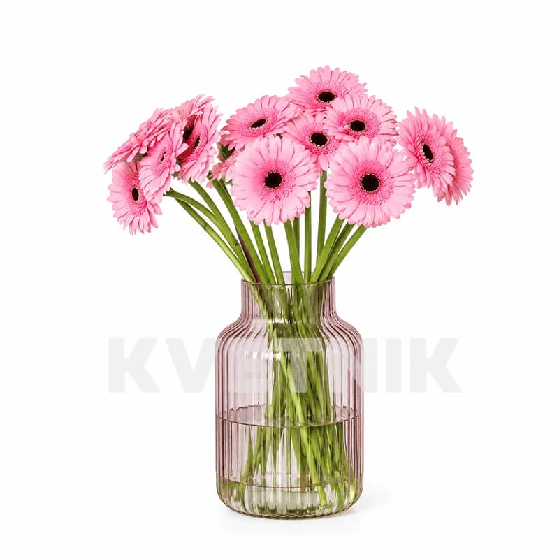 Gerbera light pink