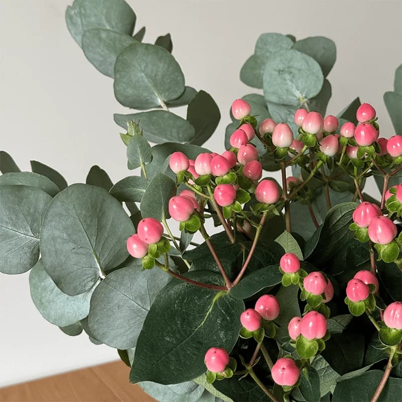 Сет «PINK BERRY» - 2