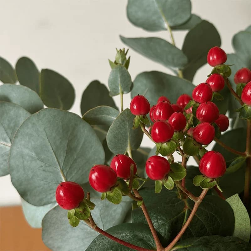 Set «RED BERRY» - 2