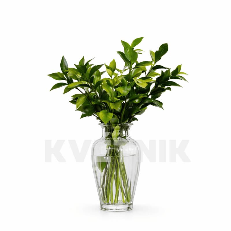 Ruskus