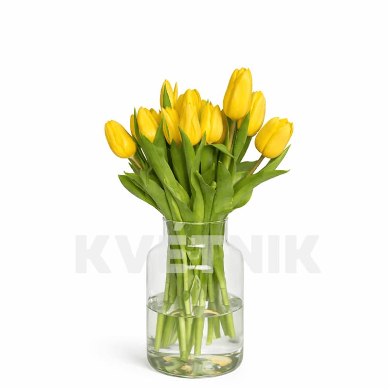 Żółte tulipany