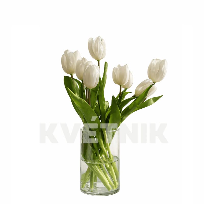 Białe tulipany