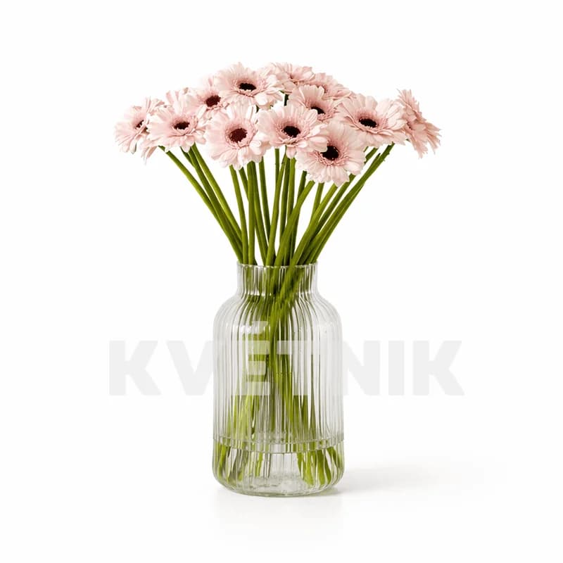 Gerbera delikatnie różowa