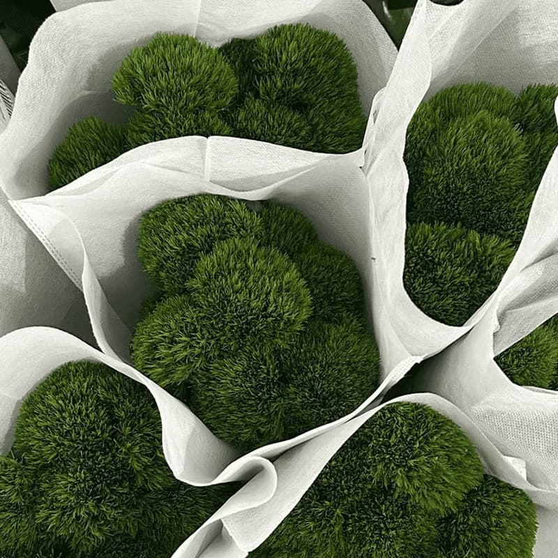 Dekoracyjny zdianthus - 2