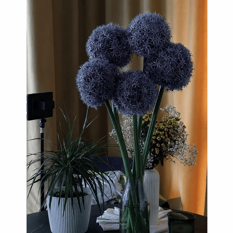 Allium - 2