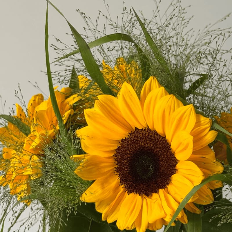 Set "Sunlit Meadow" - 2
