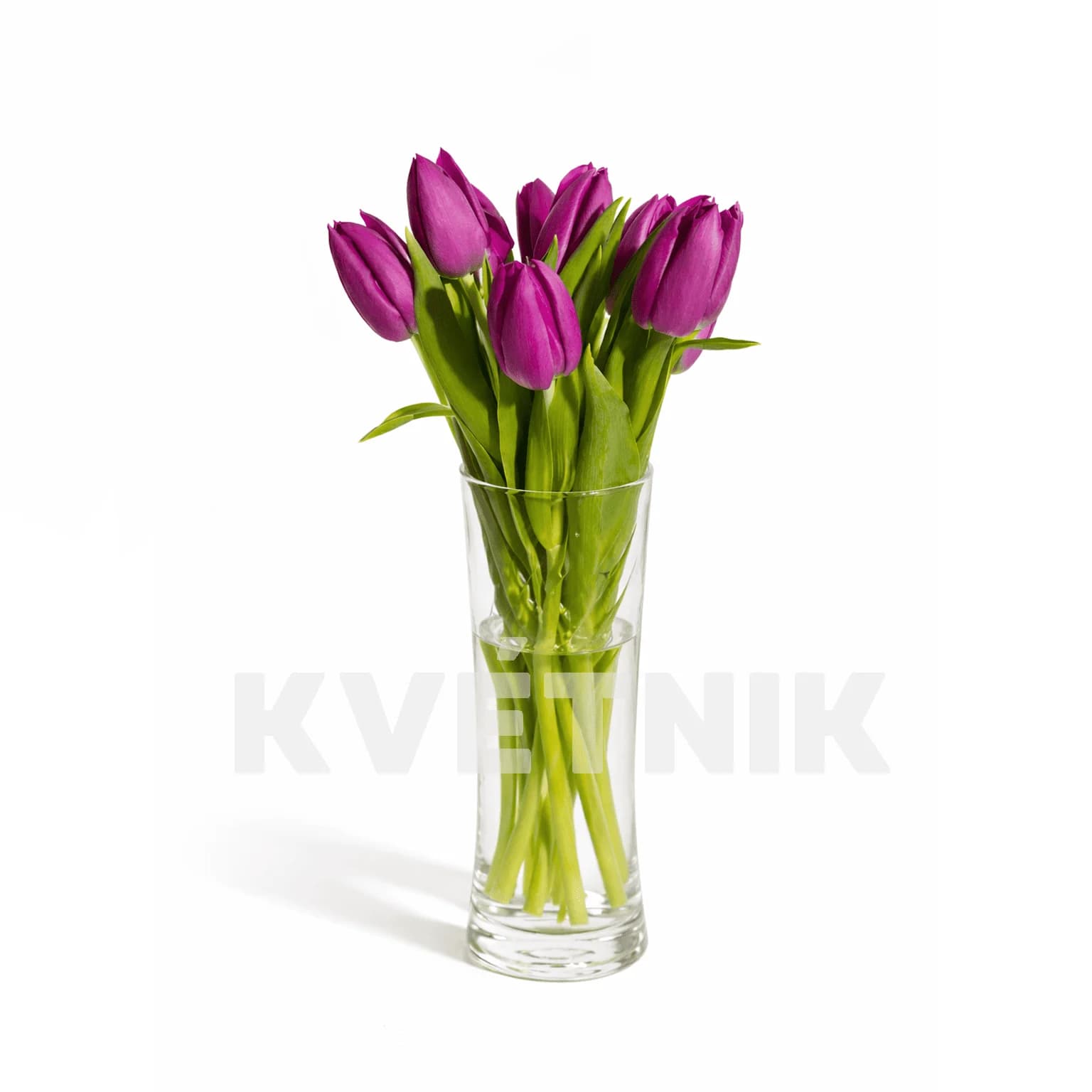 Fioletowe tulipany - 1